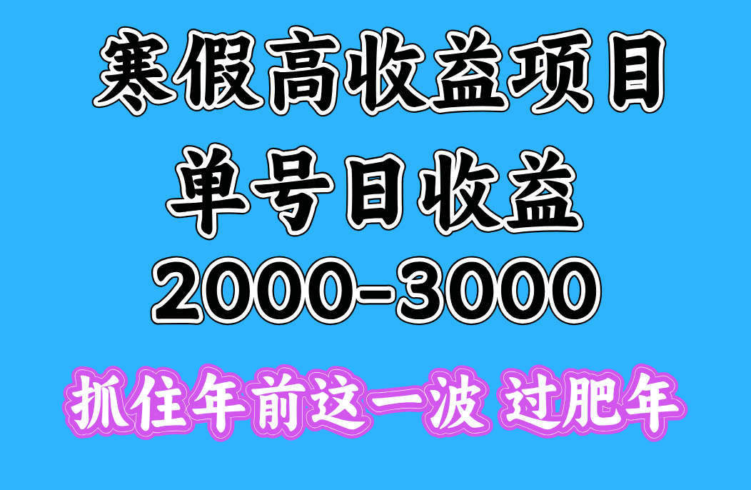 寒假期间一天收益2000-3000+，抓住年前这一波-金点子优创