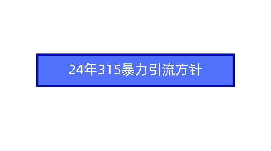 2024年315暴力引流方针-金点子优创