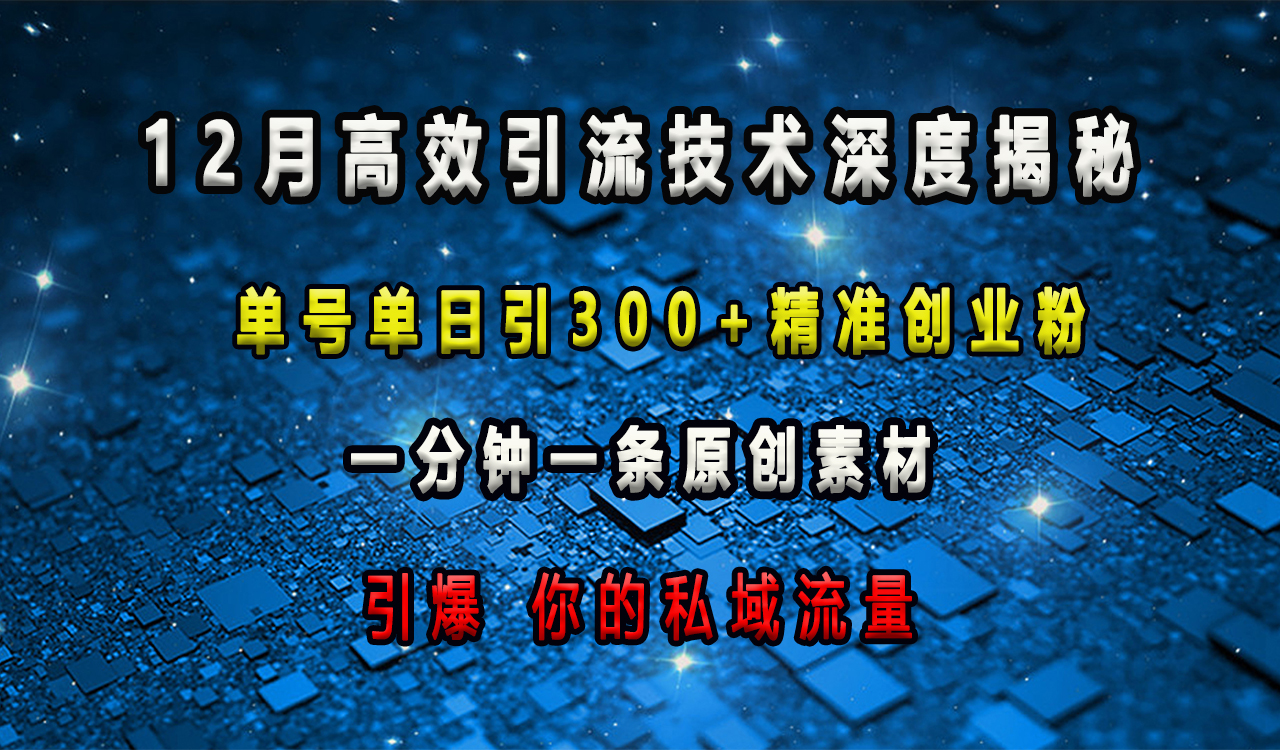 12月高效引流技术深度揭秘 ，单号单日引300+精准创业粉，一分钟一条原创素材，引爆你的私域流量-金点子优创