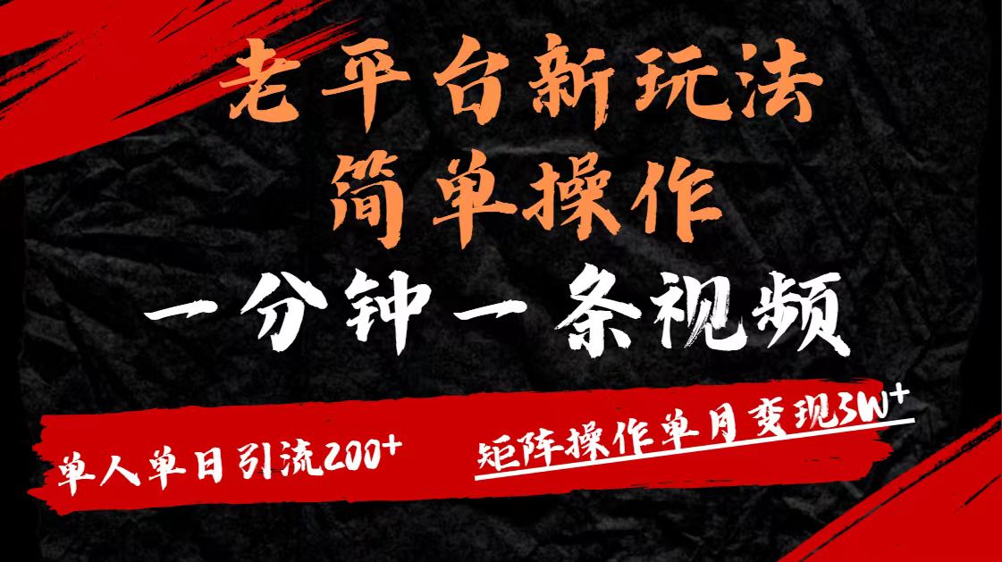 老平台，新玩法，简单操作，一分钟一条视频，单人单人引流200+矩阵操作，单月变现3W-金点子优创