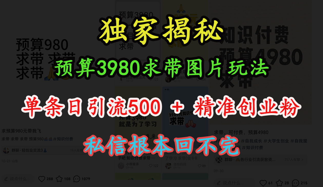 “小红书”预算3980求带 图片玩法，单条日引流500+精准创业粉，私信根本回不完-金点子优创