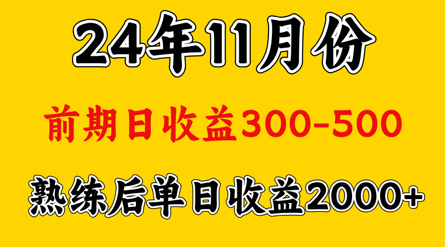 轻资产项目，前期日收益500左右，后期日收益1500-2000左右，多劳多得-金点子优创