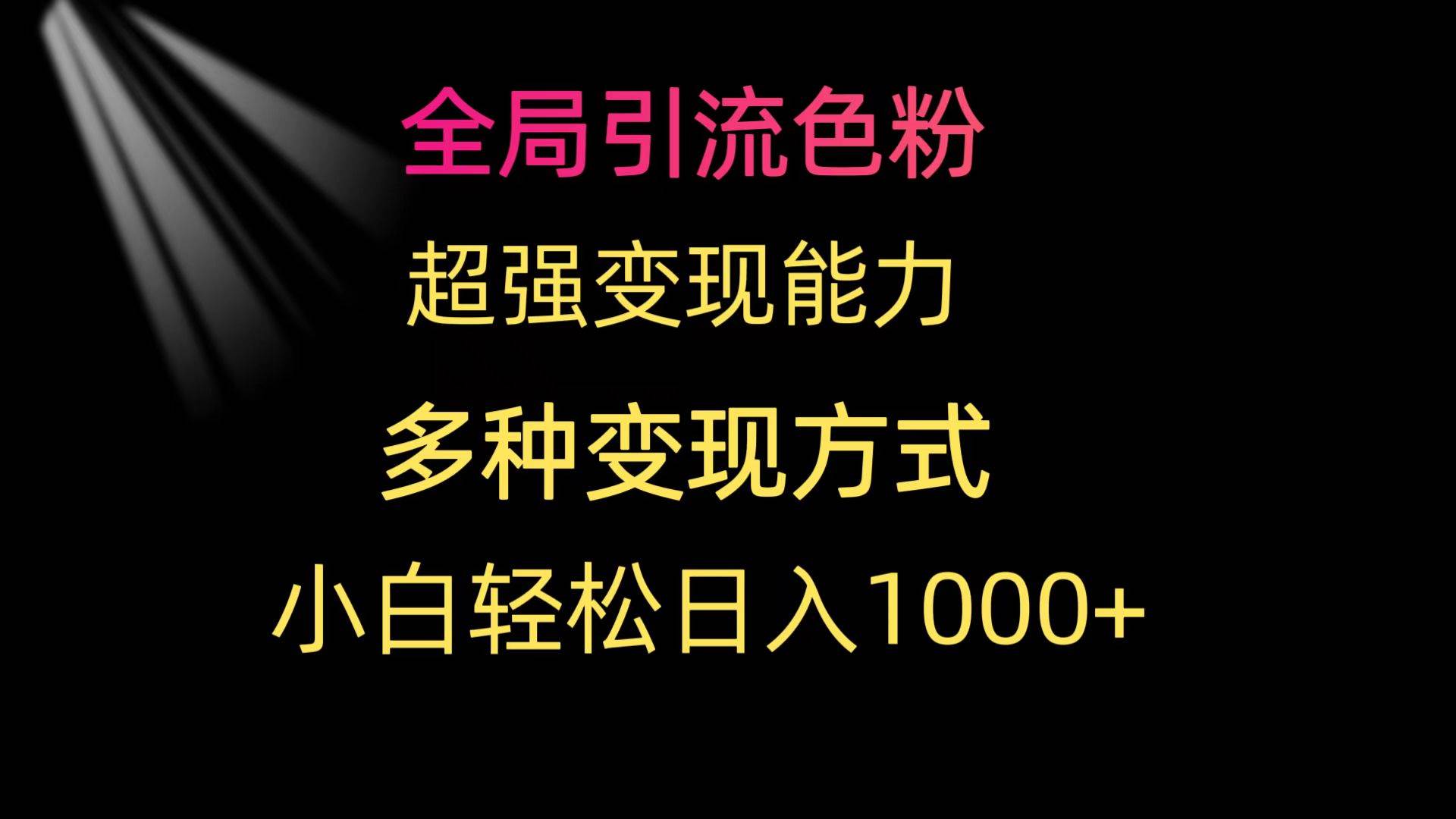 全局引流色粉 超强变现能力 多种变现方式 小白轻松日入1000+-金点子优创