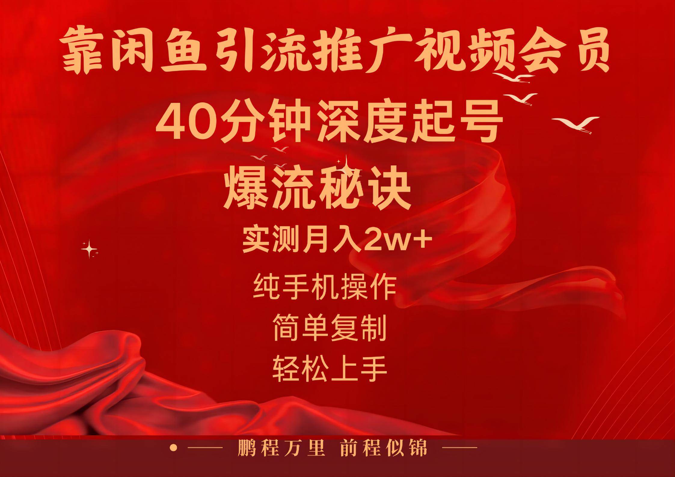 闲鱼暴力引流推广视频会员，能做到日入2W+，操作简单-金点子优创