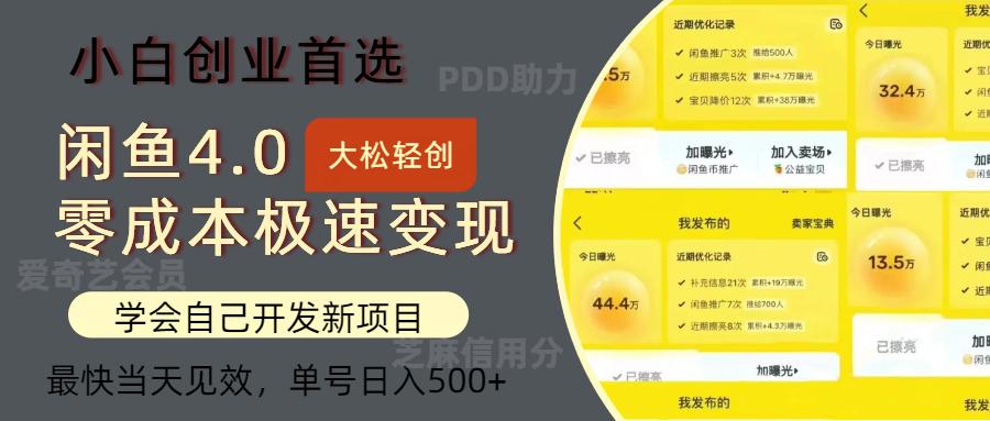 闲鱼0成本极速变现项目，多种变现方式，单号日入500+最新玩法-金点子优创
