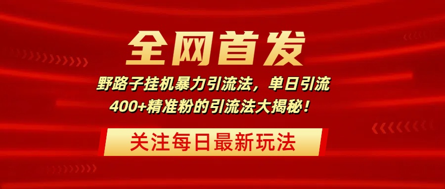 全网首发，野路子挂机暴力引流法，单日引流400+精准粉的引流法大揭秘！-金点子优创