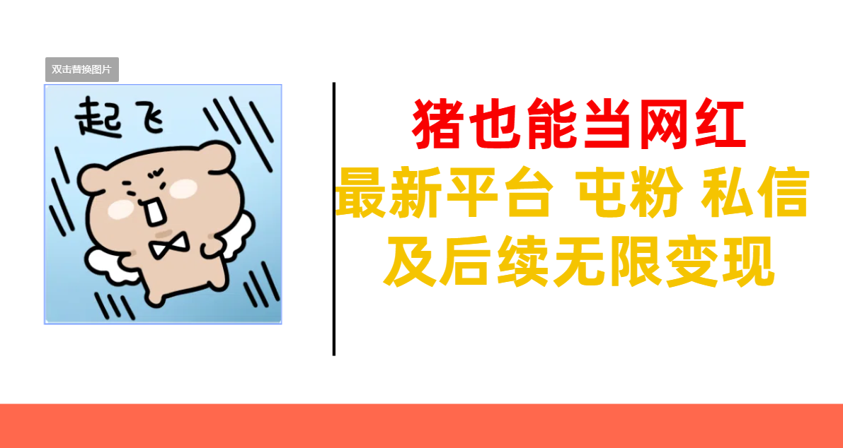 猪也能当网红-最新平台 屯粉 交流 私信 及后续无限变现-金点子优创