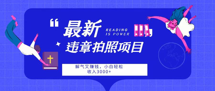 最新违章拍照项目，解气又赚钱，随手一拍，轻松收入3000-金点子优创