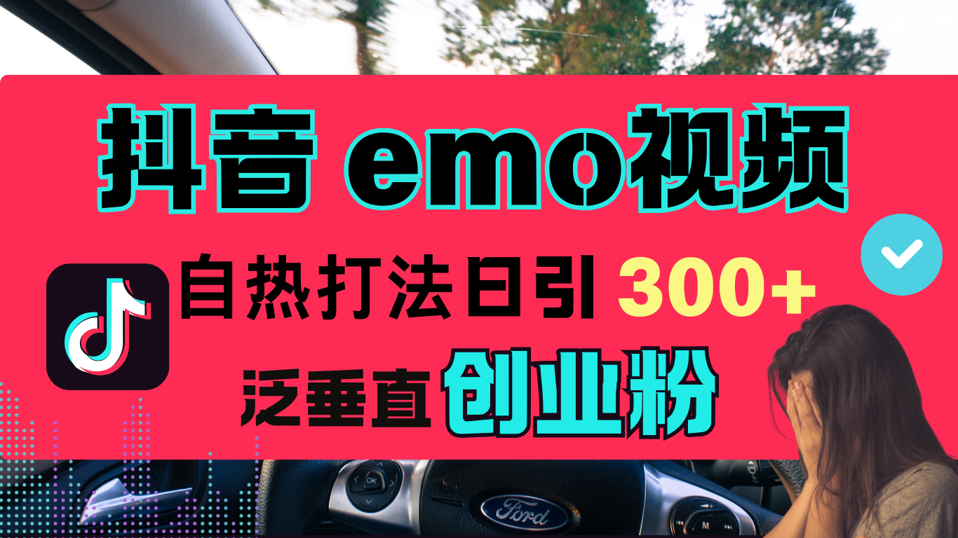 抖音“EMO视频”自热流打法，日引300+泛垂直创业粉-金点子优创