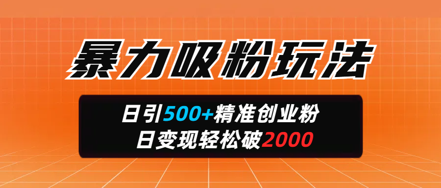 暴力吸粉玩法，日引500+精准创业粉，日变现轻松破2000-金点子优创