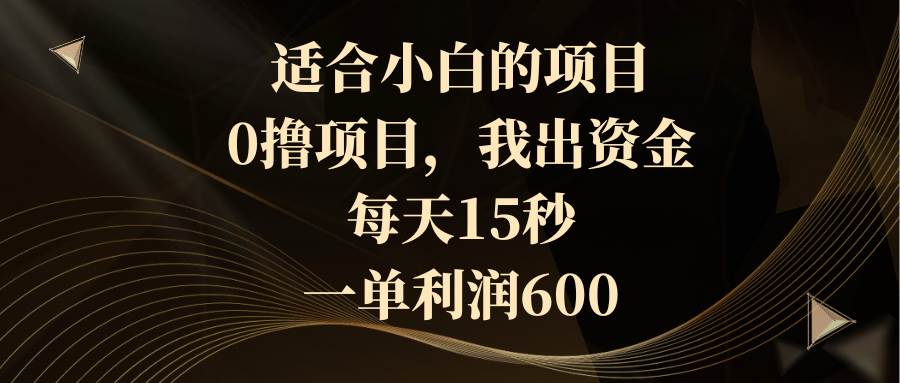 适合小白的项目，0撸项目，我出资金，每天15秒，一单利润600-金点子优创