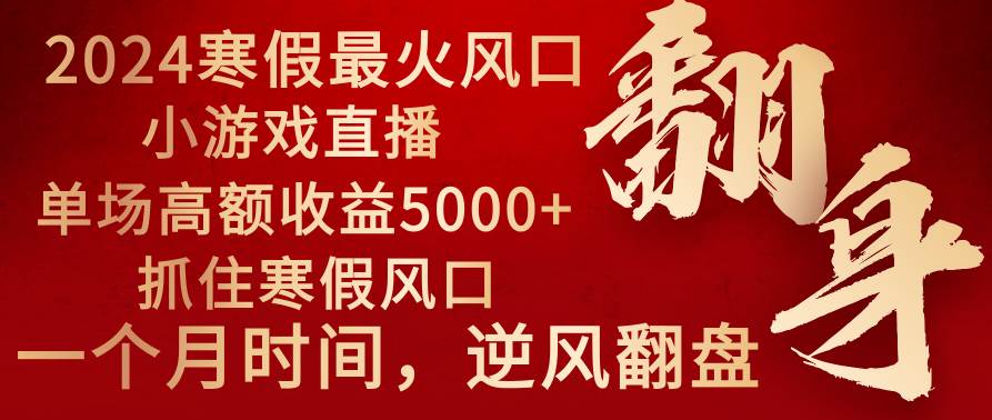2024年最火寒假风口项目 小游戏直播 单场收益5000+抓住风口 一个月直接提车-金点子优创