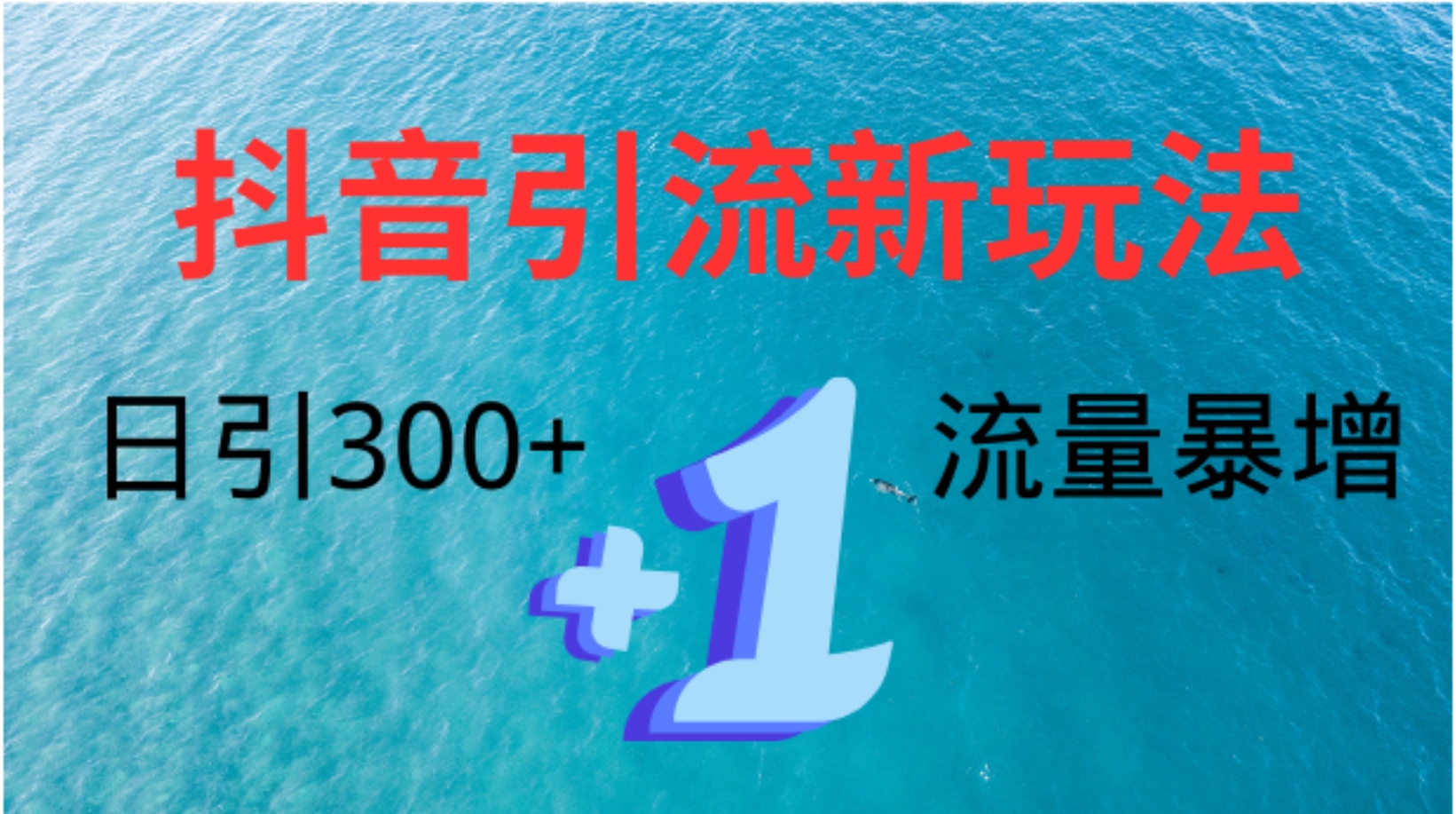 创业粉高效引流，抖音工具号玩法4.0，日引300+-金点子优创