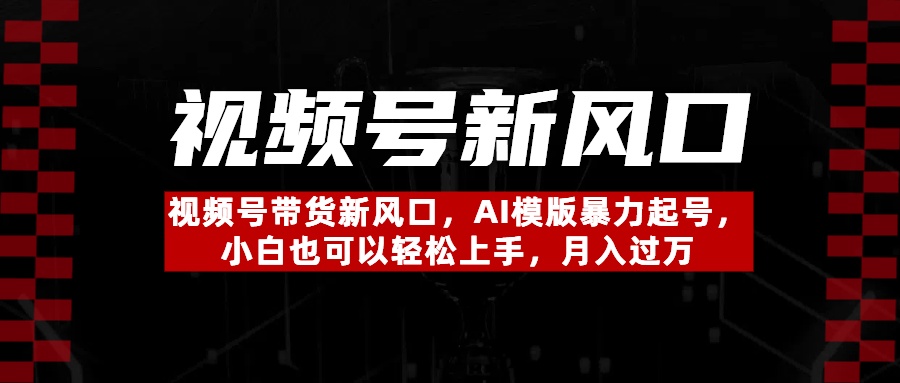 视频号带货新风口,AI模版暴力起号,小白也可以轻松上手,月入过万-金点子优创