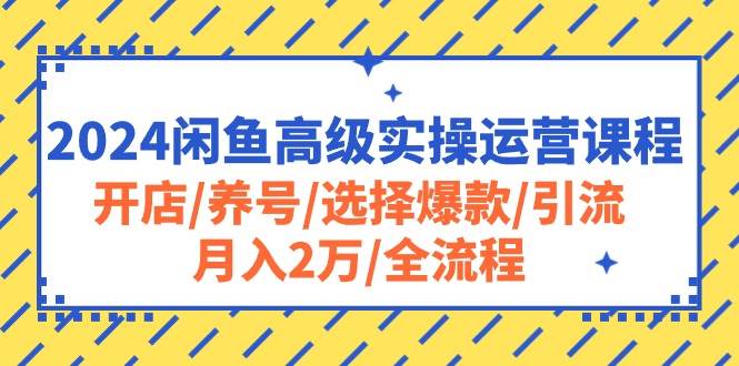 2024闲鱼高级实操运营课程：开店/养号/选择爆款/引流/月入2万/全流程-金点子优创