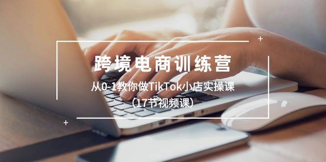 跨境电商训练营：从0-1教你做TikTok小店实操课（17节视频课）-金点子优创