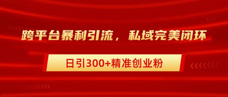 跨平台暴力引流,私域完美闭环,日引300+精准创业粉-金点子优创
