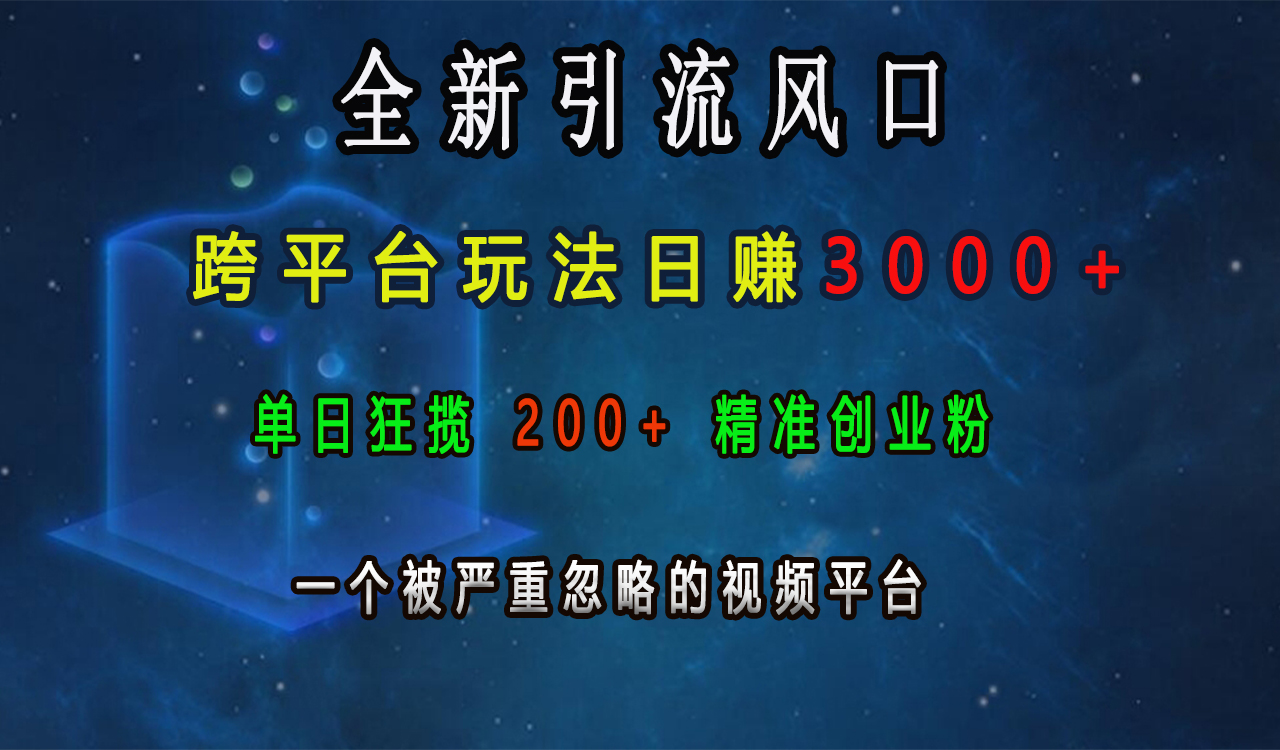 全新引流风口，跨平台玩法日赚3000+，单日狂揽200+精准创业粉，一个被严重忽略的视频平台-金点子优创
