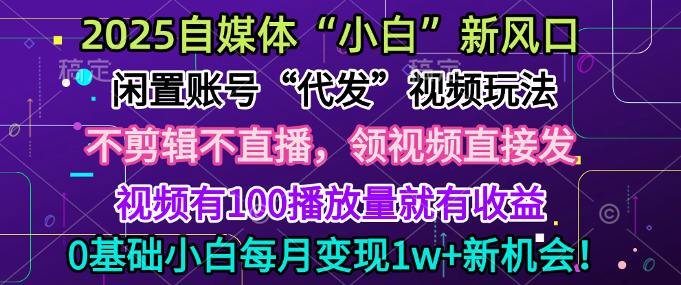 2025每月躺赚5w+新机会，闲置视频账号一键代发玩法，0粉不实名不剪辑，领了视频直接发，0基础小白也能日入300+-金点子优创