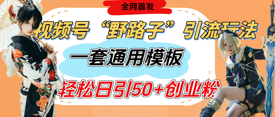 视频号“野路子”玩法，评论区疯狂截流，一套模板单日单号引流50+创业粉-金点子优创