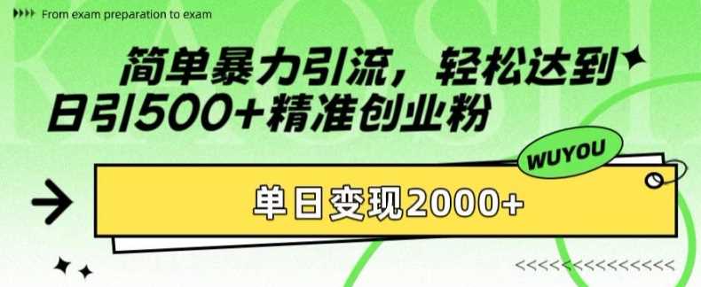 简单暴力引流轻松达到日引500+精准创业粉，单日变现2k【揭秘】-金点子优创