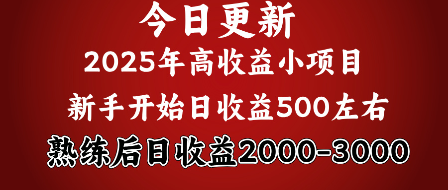 2025开年好项目，新手日收益500+ 熟练掌握后，日收益平均2000多-金点子优创