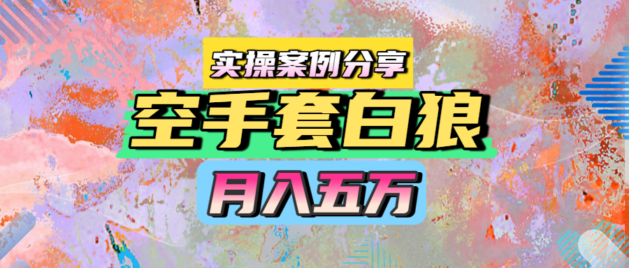 空手套白狼，月入五万，实操案例分享-金点子优创