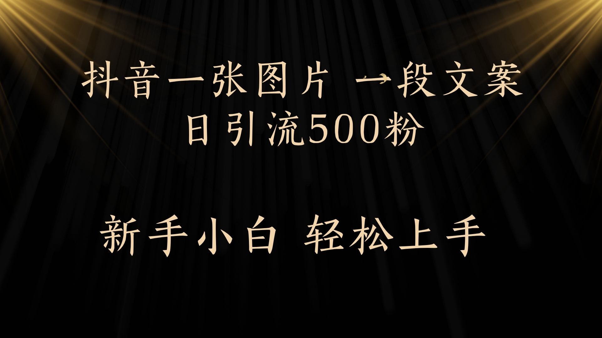 每天2分钟，抖音一张图片 一段文案日引流500粉-金点子优创