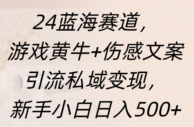 24蓝海赛道，游戏黄牛+伤感文案引流私域变现，新手日入500+-金点子优创
