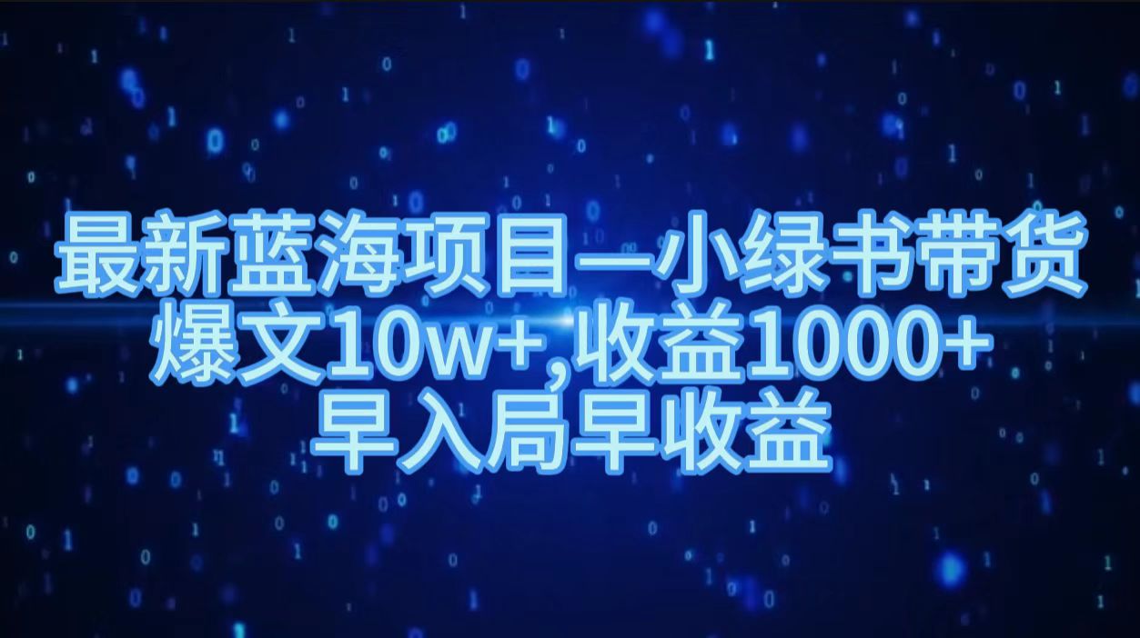 最新蓝海项目小绿书带货，爆文10w＋，收益1000＋，早入局早获益！！-金点子优创