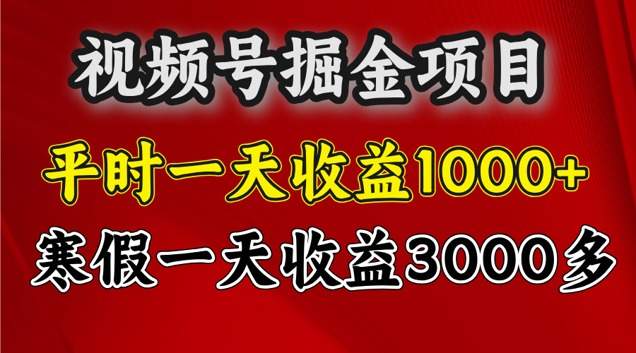 视频号掘金项目,寒假一天收益3000多-金点子优创