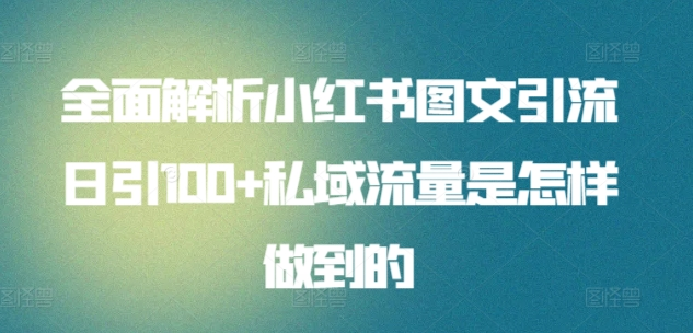 暴力引流 小红书图文引流日引100私域全面拆解【打粉人必看】-金点子优创