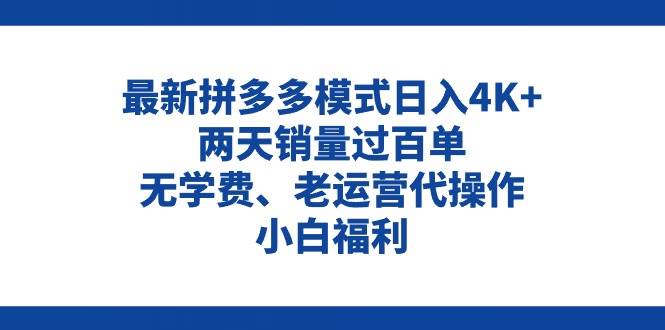 拼多多最新模式日入4K+两天销量过百单，无学费、老运营代操作、小白福利-金点子优创