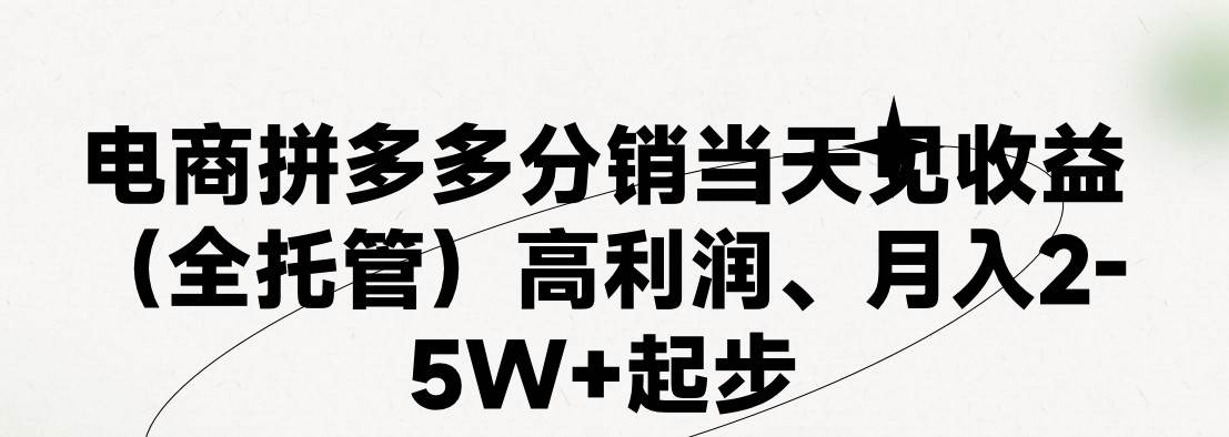 最新拼多多模式日入4K+两天销量过百单，无学费、 老运营代操作、小白福…-金点子优创