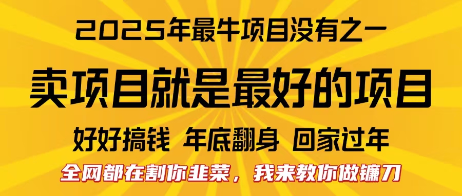全网都在割你韭菜，我来教你做镰刀。卖项目就是最好的项目，2025年最牛互联网项目-金点子优创