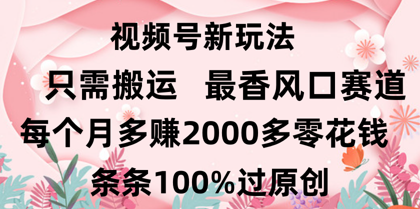 日入2000+，条条100%过原创，视频号最香风口赛道，小白轻松上手-金点子优创