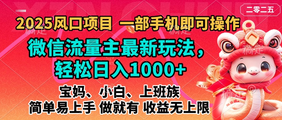 2025蓝海风口项目，微信流量主最新玩法，轻松日入1000+，简单易上手，做就有 收益无上限-金点子优创