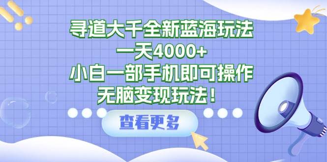 寻道大千全新蓝海玩法，一天4000+，小白一部手机即可操作，无脑变现玩法！-金点子优创