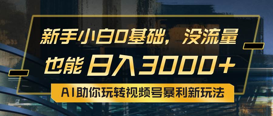小白0基础，没流量也能日入3000+：AI助你玩转视频号暴利新玩法-金点子优创