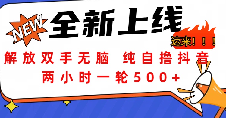 解放双手无脑 纯自撸抖音 两小时一轮500+-金点子优创