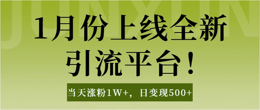 1月上线全新引流平台，当天涨粉1W+，日变现500+工具无脑涨粉，解放双手操作简单-金点子优创