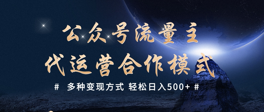 公众号流量主代运营  多种变现方式 轻松日入500+-金点子优创