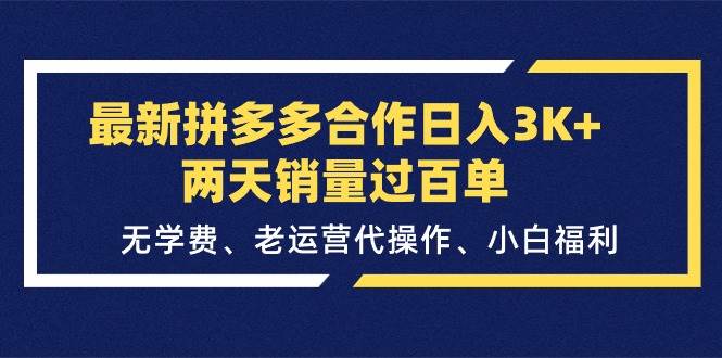 最新拼多多合作日入3K+两天销量过百单，无学费、老运营代操作、小白福利-金点子优创