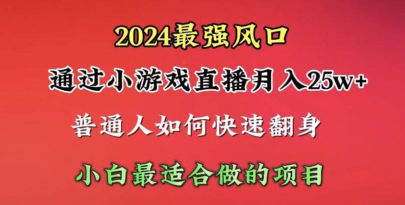 2024年最强风口，通过小游戏直播月入25w+单日收益5000+小白最适合做的项目-金点子优创