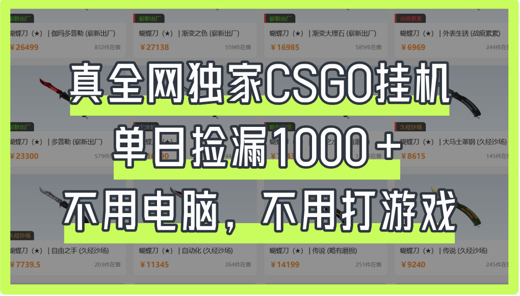 真全网独家CSGO挂机，单日捡漏1000+-金点子优创