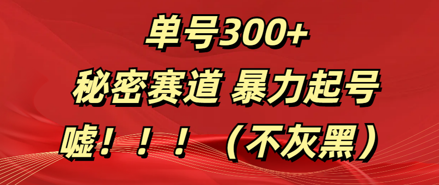 单号300+  秘密赛道 暴力起号  （不灰黑）-金点子优创