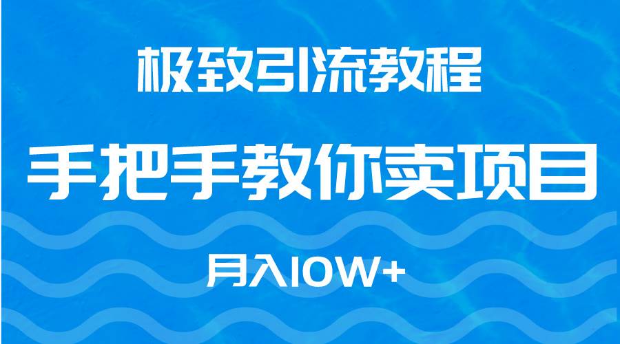 极致引流教程，手把手教你卖项目，月入10W+-金点子优创