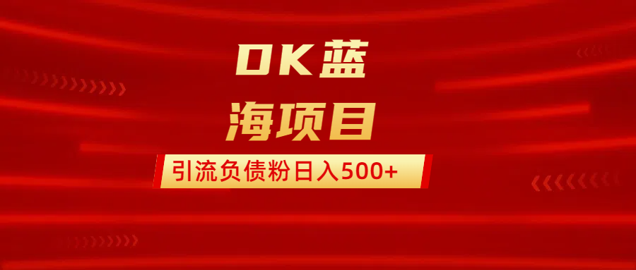 DK蓝海项目  通过，抖音，快手，小红书，引流负债粉日入500+-金点子优创