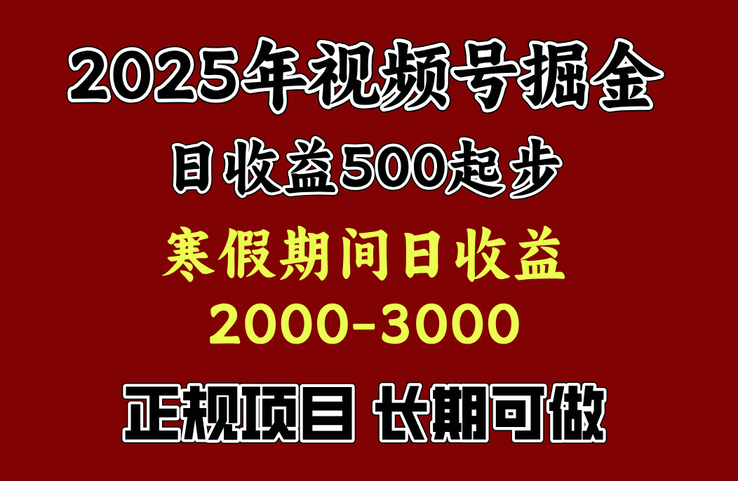 寒假期间一天收益2000+，小白一天就能上手-金点子优创