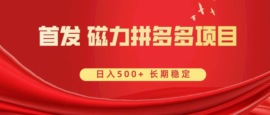 首发 磁力拼多多自撸  日入500+-金点子优创